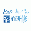 とある１年Ａ組の宿泊研修（）