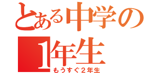 とある中学の１年生（もうすぐ２年生）