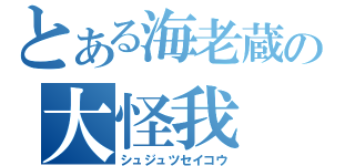 とある海老蔵の大怪我（シュジュツセイコウ）