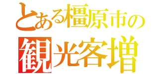 とある橿原市の観光客増加策（）