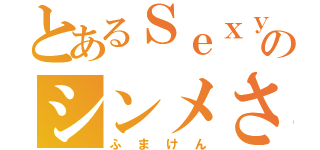 とあるＳｅｘｙＺｏｎｅのシンメさん（ふまけん）