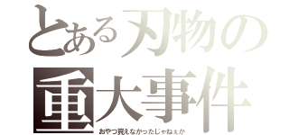 とある刃物の重大事件（おやつ買えなかったじゃねぇか）