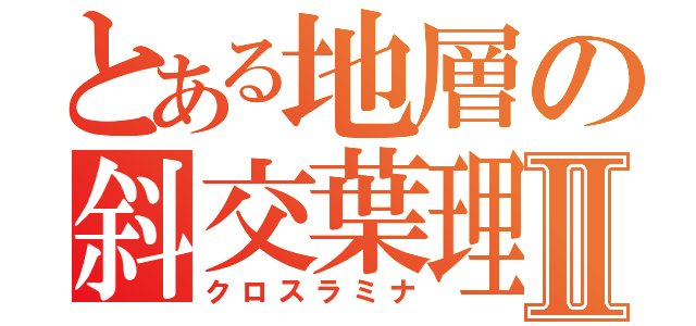 とある地層の斜交葉理Ⅱ（クロスラミナ）