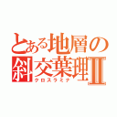 とある地層の斜交葉理Ⅱ（クロスラミナ）