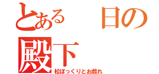 とある　日の殿下（松ぼっくりとお戯れ）