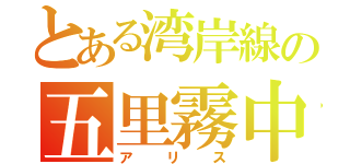 とある湾岸線の五里霧中（アリス）