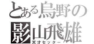 とある烏野の影山飛雄（天才セッター）