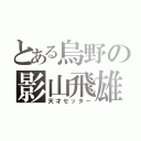 とある烏野の影山飛雄（天才セッター）