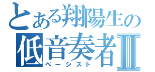 とある翔陽生の低音奏者Ⅱ（ベーシスト）