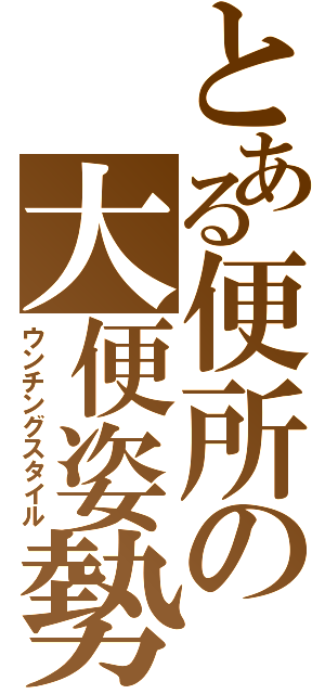 とある便所の大便姿勢（ウンチングスタイル）