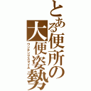 とある便所の大便姿勢（ウンチングスタイル）