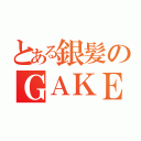 とある銀髪のＧＡＫＥＴＯ（）