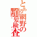 とある網野の頭髪検査（ハゲ）