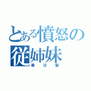 とある憤怒の従姉妹（春日聖）