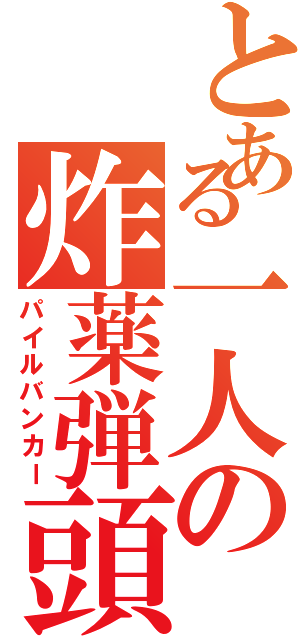 とある一人の炸薬弾頭（パイルバンカー）