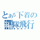 とある下着の編隊飛行（変態飛行）