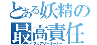 とある妖精の最高責任者（フェアリーオーナー）