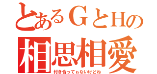 とあるＧとＨの相思相愛（付き合ってゎないけどね）