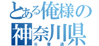 とある俺様の神奈川県（※普通）