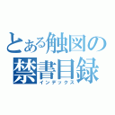 とある触図の禁書目録（インデックス）