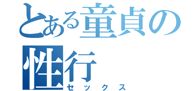 とある童貞の性行（セックス）