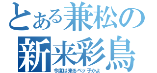 とある兼松の新来彩鳥（今度は来るペッ子かよ）