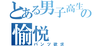 とある男子高生の愉悦（パンツ欲求）