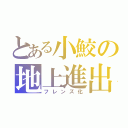 とある小鮫の地上進出（フレンズ化）