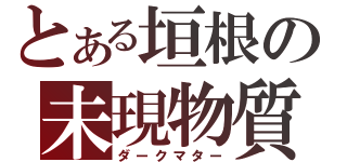 とある垣根の未現物質（ダークマター）