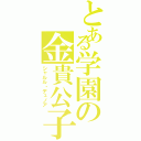 とある学園の金貴公子（シャルル・デュノア）