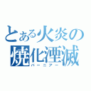 とある火炎の焼化湮滅（バーニアー）