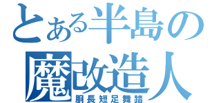 とある半島の魔改造人（胴長短足舞踏）