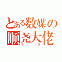 とある数媒の顺尧大佬（牛逼）