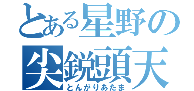 とある星野の尖鋭頭天（とんがりあたま）