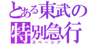 とある東武の特別急行（スペーシア）