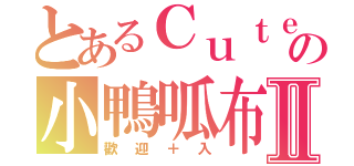 とあるＣｕｔｅの小鴨呱布Ⅱ（歡迎＋入）