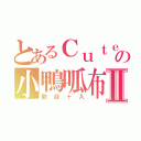 とあるＣｕｔｅの小鴨呱布Ⅱ（歡迎＋入）