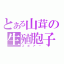 とある山茸の生殖胞子（スポアー）