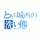 とある城西の洗い熊（ゴンゴン中山）