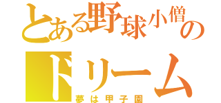 とある野球小僧のドリーム（夢は甲子園）