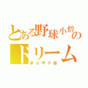 とある野球小僧のドリーム（夢は甲子園）