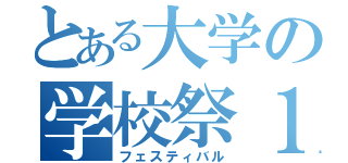 とある大学の学校祭１０１３（フェスティバル）