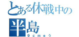 とある休戦中の半島（９ｃｍゅう）