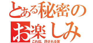 とある秘密のお楽しみ（これ位、許される筈）