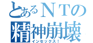 とあるＮＴの精神崩壊（インセックス！）