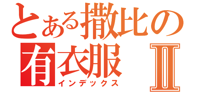 とある撒比の有衣服Ⅱ（インデックス）