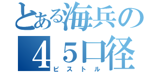 とある海兵の４５口径（ピストル）