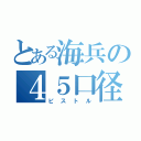 とある海兵の４５口径（ピストル）