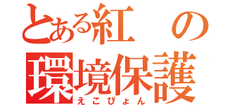 とある紅の環境保護兎（えこぴょん）