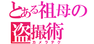 とある祖母の盗撮術（カメラテク）